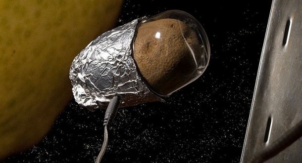 هل ستنجح زراعة البطاطا في المريخ ؟